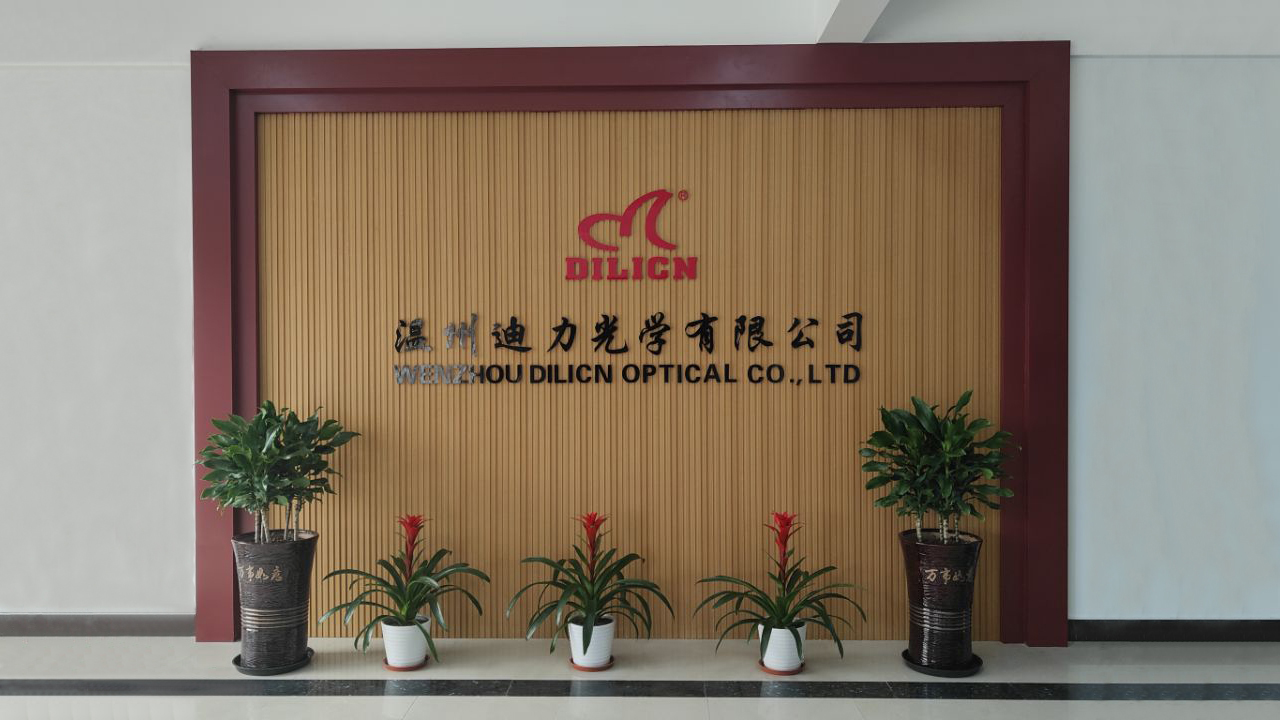 Dilicn Factory Video