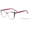 DILICN 2023 New TR90 Material Optical Frame Cat eye style