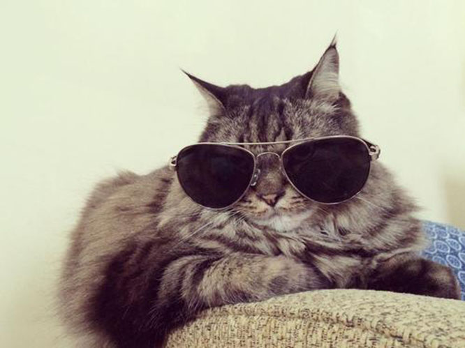 Top 5 Foods For Eye Health