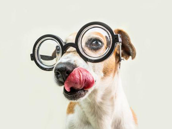 Hidden knowledge about reading glasses.