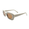 2022 Trendy Small Frame Sun Glasses Multiful Color Transparent Frame Rectangle Oval Sunglasses