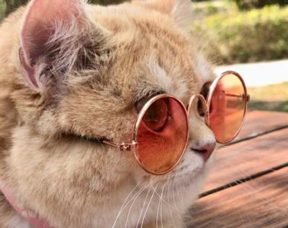 People who can not wear sunglasses!