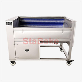 vegetable washing machine