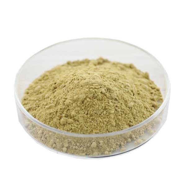 Schizochytrium Algae Powder