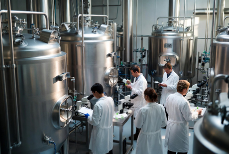 Biotech Fermentation Lab Cosmetic Ingredients.jpg