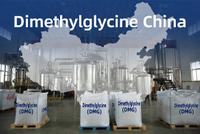 //a0.ldycdn.com/cloud/piBpjKqlllSRqlppimlnim/Dimethylglycine-China-Sourcing-Overview.jpg