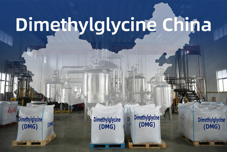 Dimethylglycine China Sourcing Overview.jpg