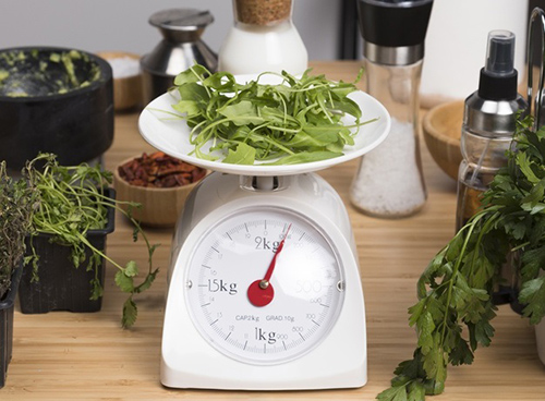 56-2 precision kitchen scale