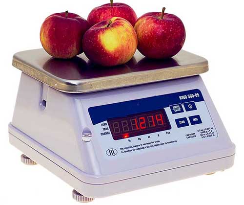 96-2 waterproof bench weighing scale