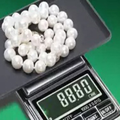 19-pocket scale.jpg