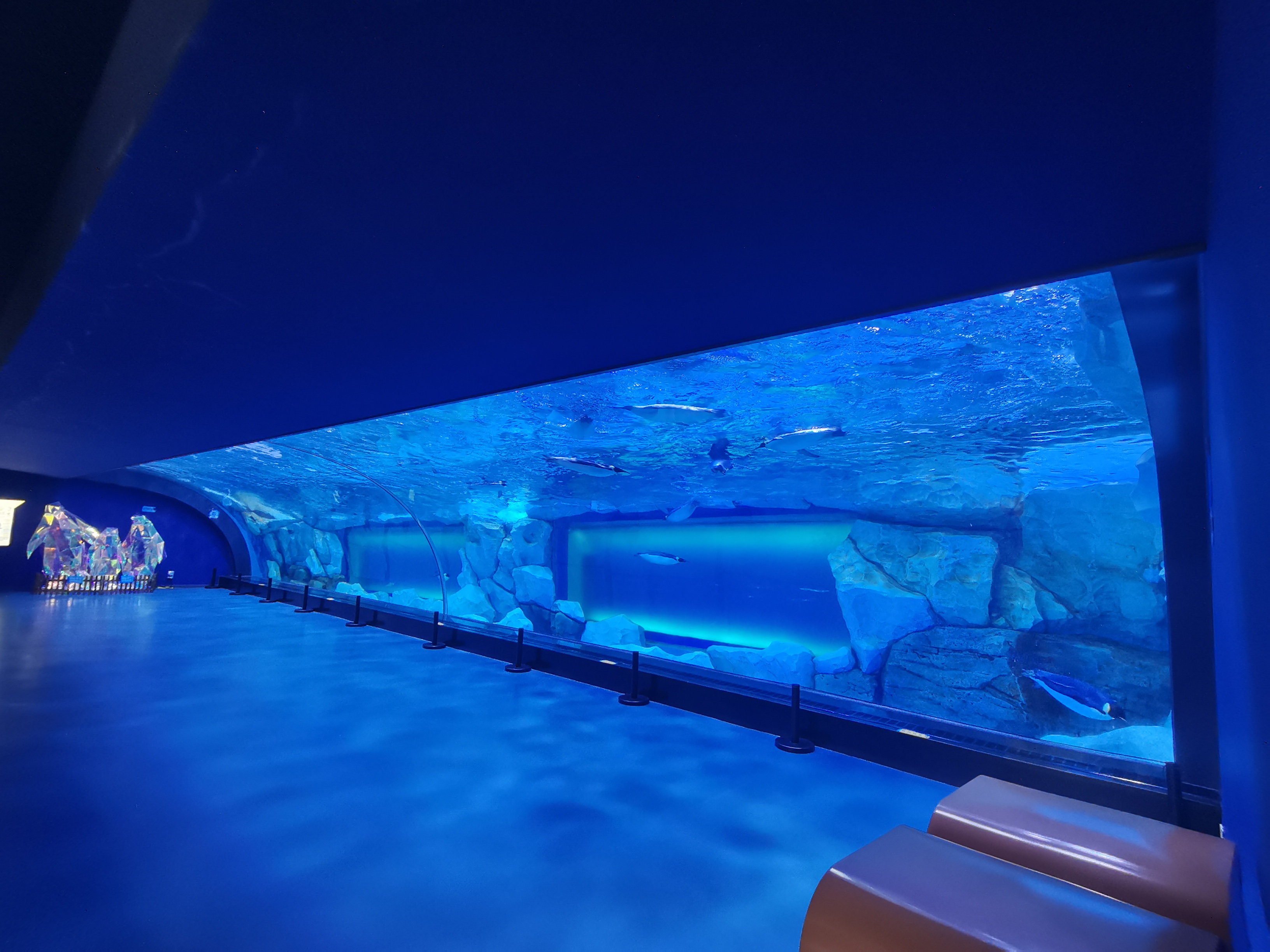 Pannello per acquario con finestra in acrilico - LEYU