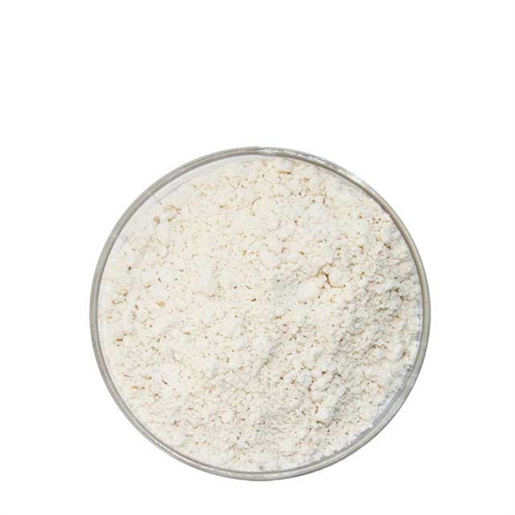 Casein Phosphopeptides