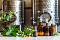 //a0.ldycdn.com/cloud/pjBpjKqlllSRplionmlrip/Botanical-Extract-Fermentation-Process.jpg