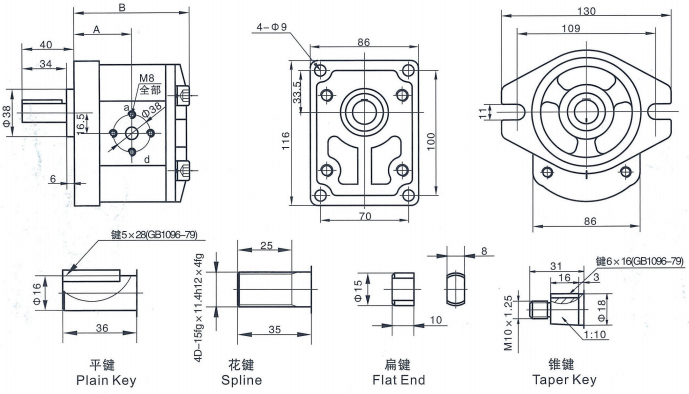 Pompa a ingranaggi serie CBW-F300 fig