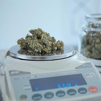 Can Your Scale Record and Transmit Data?