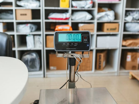 portable logistic scale.jpg