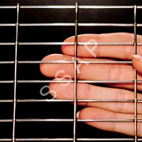 Stainless Steel Welded Wire Mesh