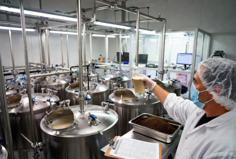 Tea Saponin Factory Supply.jpg