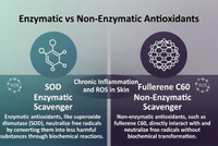 //a0.ldycdn.com/cloud/plBpjKqlllSRplnrmnmmim/Enzymatic-Versus-Non-Enzymatic-Antioxidants.jpg