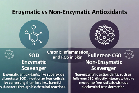 Enzymatic Versus Non Enzymatic Antioxidants.jpg