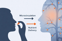 //a0.ldycdn.com/cloud/plBpjKqlllSRplnronjmip/Beauty-From-Within-Microcirculation-Pathway.jpg