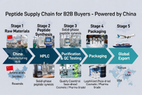 //a0.ldycdn.com/cloud/pmBpjKqlllSRqlkjknjpiq/Peptide-Manufacturing-Value-Chain.jpg