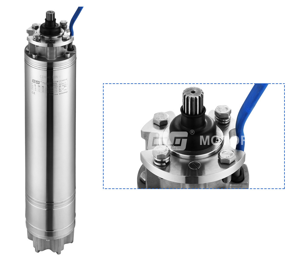 boorput dompelmotor.jpg