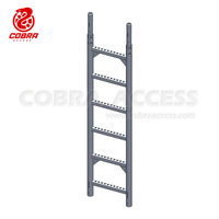 Steel Ladder with Pressed Spigot