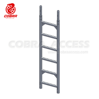 Steel Ladder with Pressed Spigot