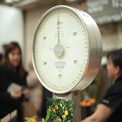 What are Working Principles and Daily Inspection of Electronic Scales？