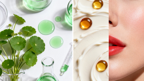 Asiaticoside And Vitamin K Ingredient Comparison.jpg