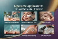 //a0.ldycdn.com/cloud/poBpjKqlllSRqlkjnnjkiq/Liposome-Applications.jpg