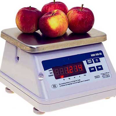 Why Do You Need Waterproof Scales?