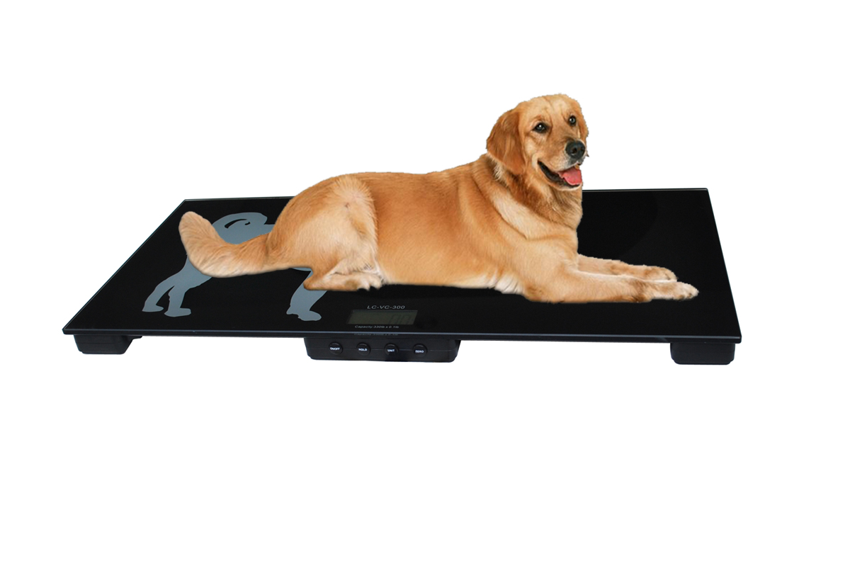 FCW-G 150kg animal weighing tempered glass pet scale weighing dog weighing cat Animal dog cat scale