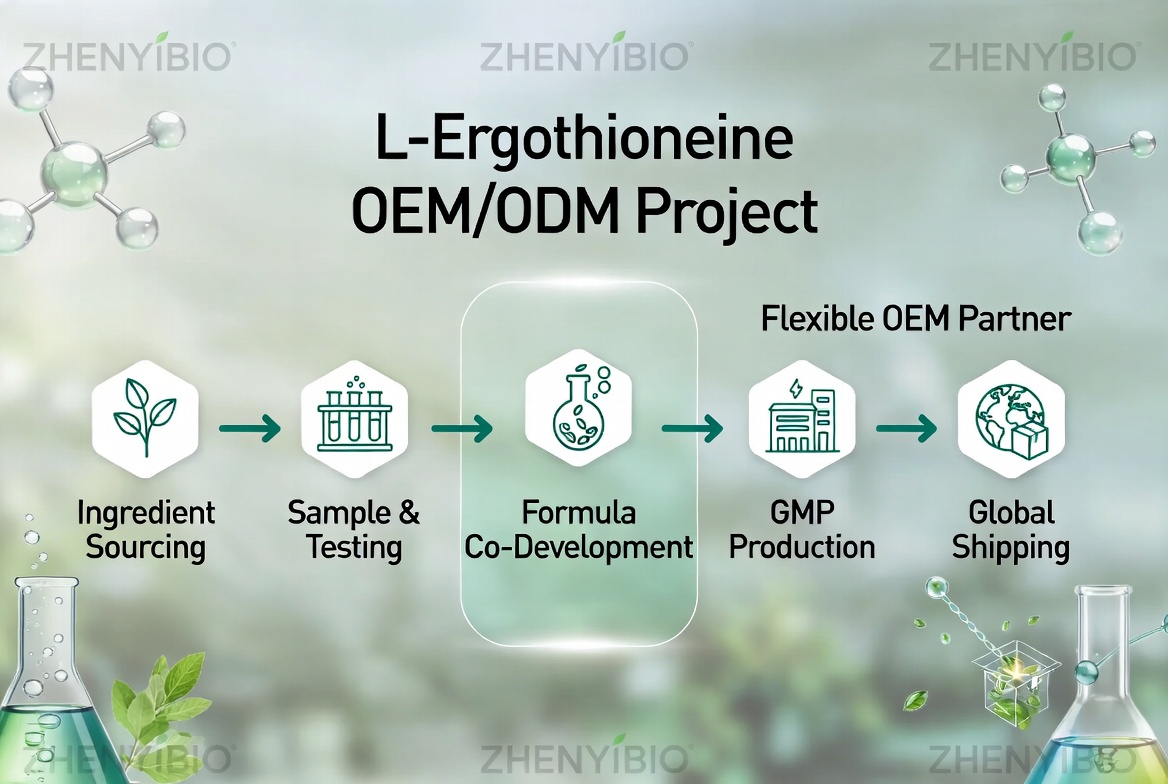 L Ergothioneine OEM Partnership Workflow