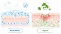 //a0.ldycdn.com/cloud/ppBpjKqlllSRqlpkilljiq/Ectoin-And-Asiaticoside-Mechanism-Overview.jpg