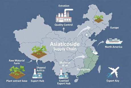 Chinese Asiaticoside Supply Chain Map.jpg