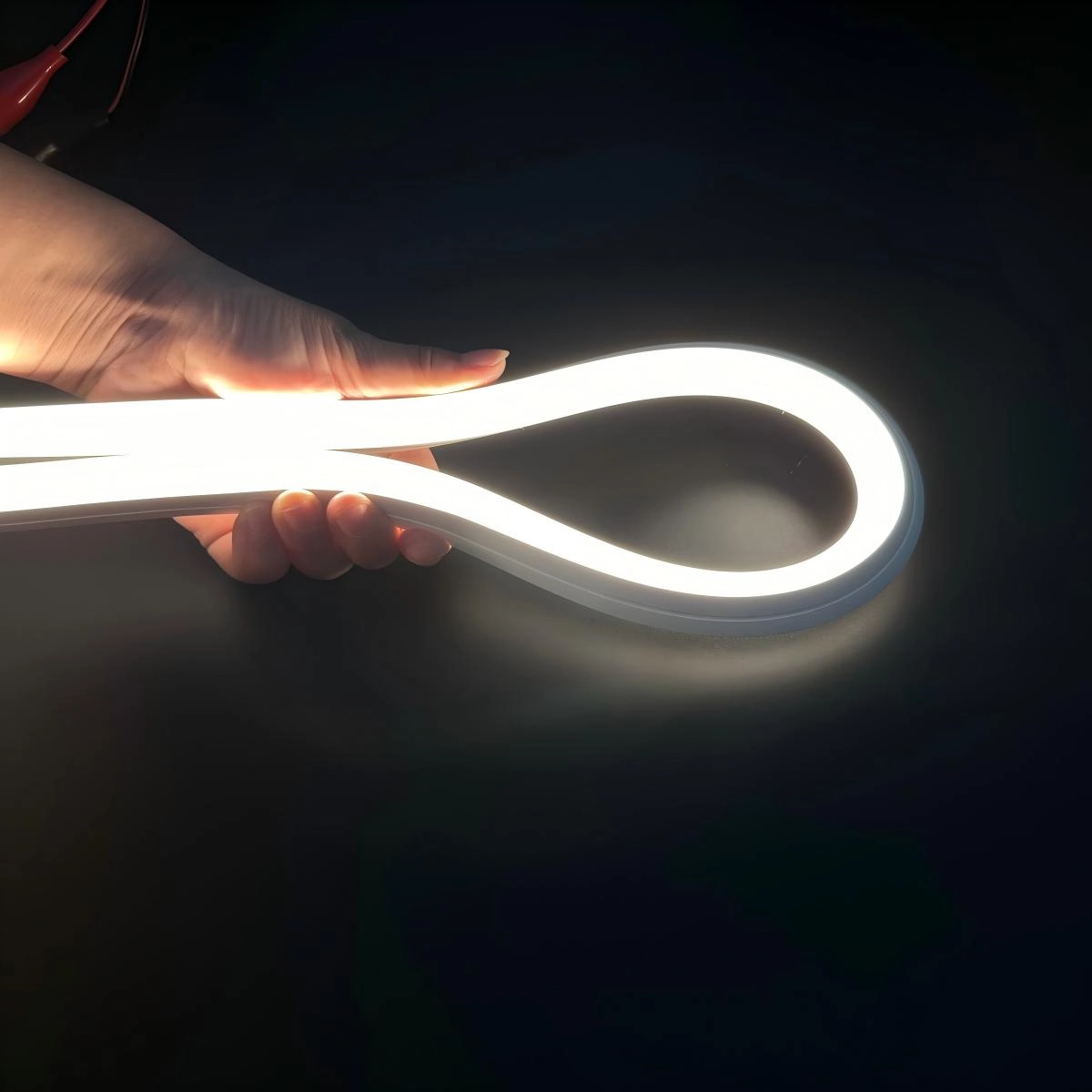 Waterdigte LED Neon buigsame strooklig