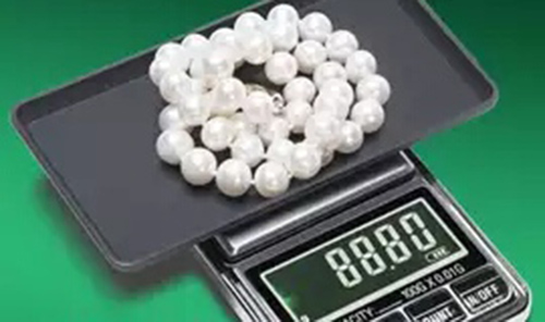 19-pocket scale