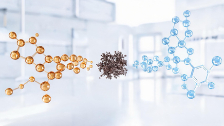 Tyrosinase Inhibition Molecular Comparison.jpg