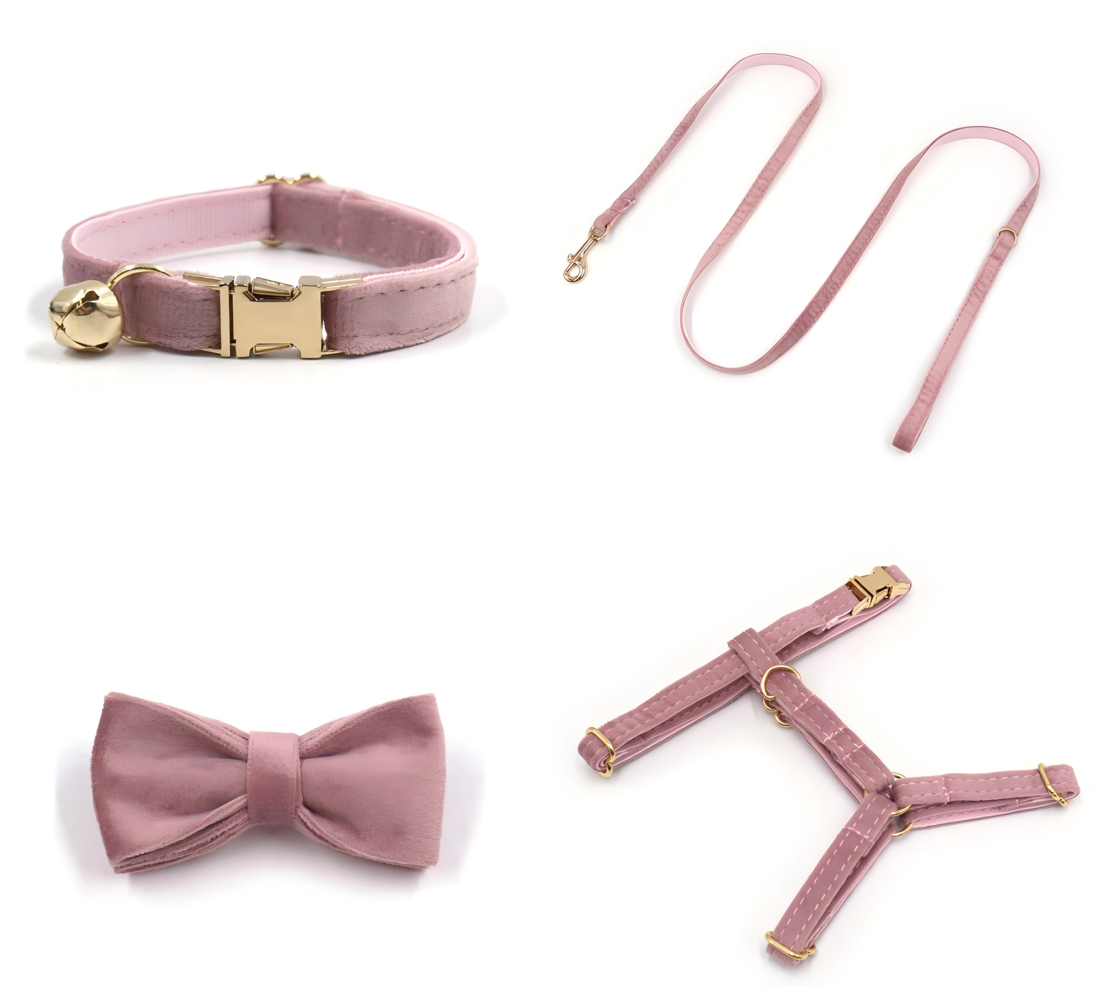 Conjunto de correa y arn&eacute;s con collar de gato de terciopelo.jpg