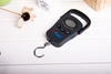 DGL-A Bag Weight Scale Portable Weighing Scale for Luggage