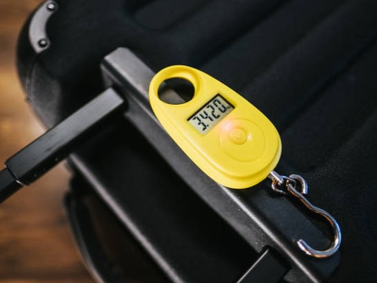 Best Portable Handheld Scales for Field Work: How to Choose the Right One