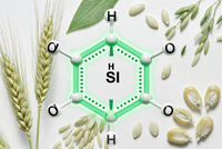 //a0.ldycdn.com/cloud/prBpjKqlllSRqlpkilprip/Sodium-Phytate-Molecular-Structure-With-Natural-Plant-Sources.jpg