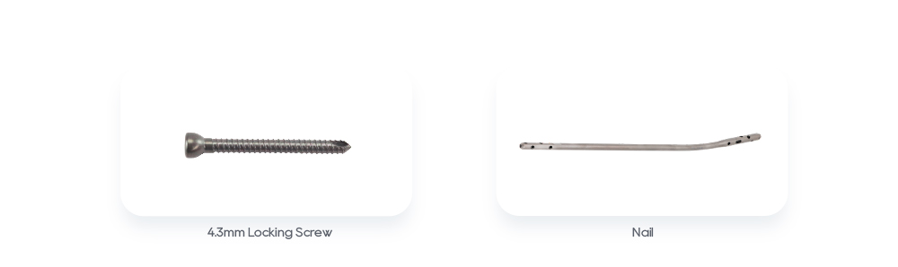 Implants relacionats: cargol de bloqueig de 4,3 mm i clau intramedul&middot;lar tibial experta