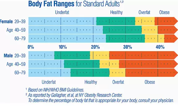 11-electric weigh scale