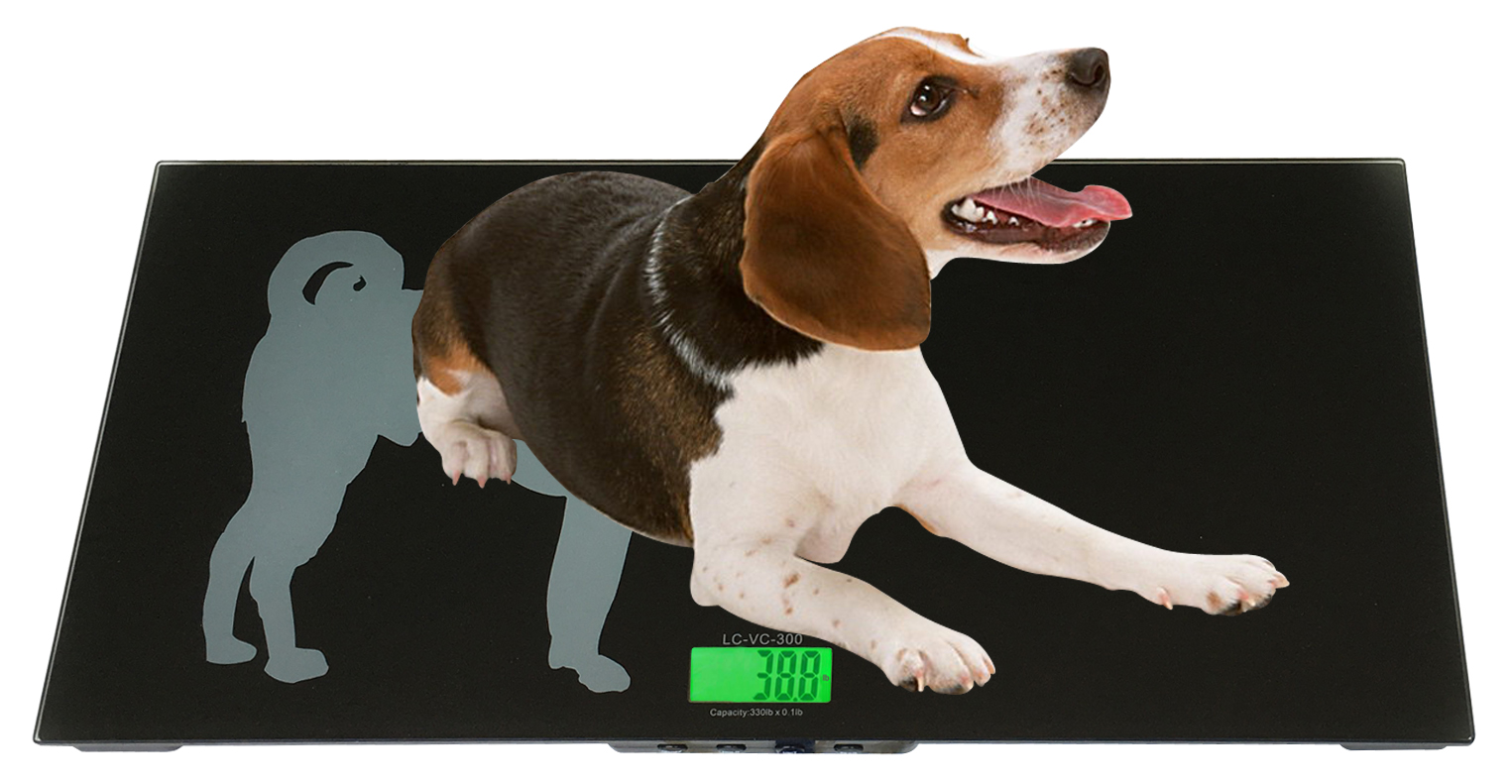 FCW-G 150kg animal weighing tempered glass pet scale weighing dog weighing cat Animal dog cat scale