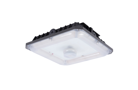 LED Canopy Light 