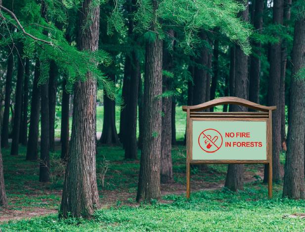 森と風光明媚な無機光貯蔵自己光警告サイン