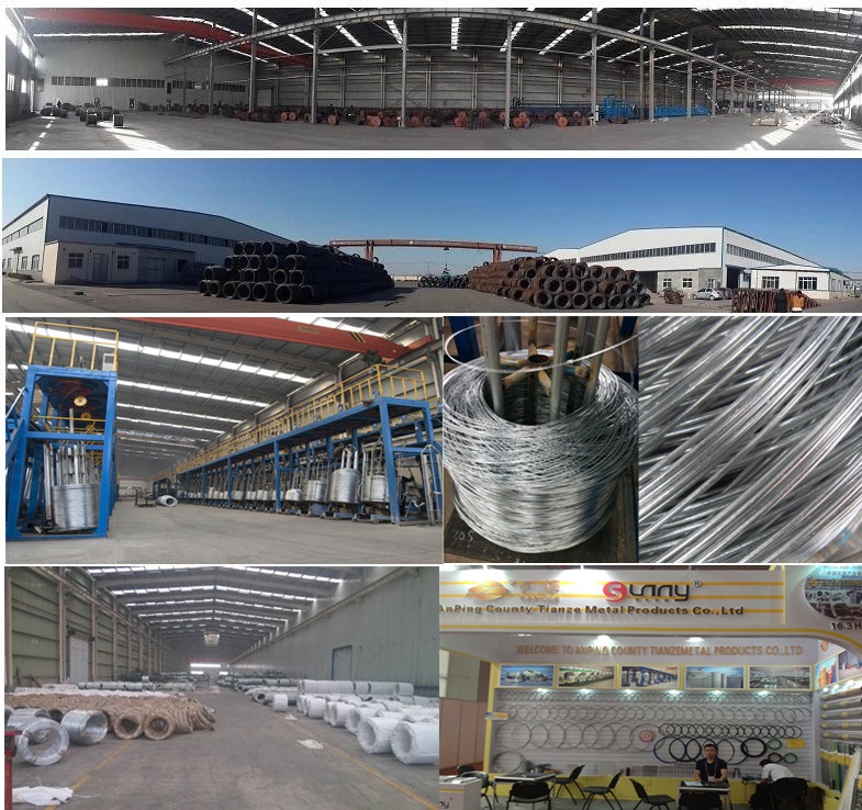 Hot dipped Galvanized production line